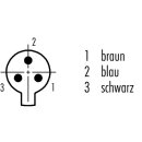 Binder Snap-In IP40 Kabelstecker 3 polig mit Kabel